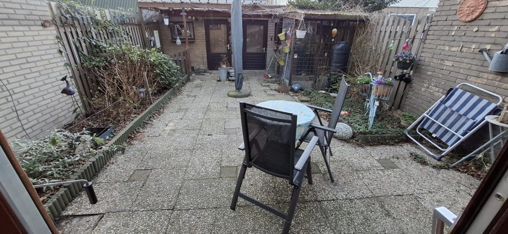 tuin met weinig groen en veel tegels