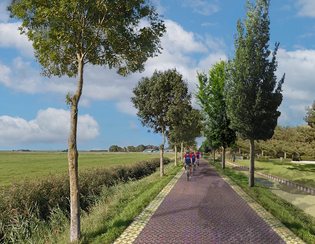 U ziet een print op het asfalt dat eruitziet als een klinkerverharding. We noemen dit een streetprint. Daarnaast ziet u witte tegels van beton waar gras doorheen groeit. Dat zijn grasbetontegels.