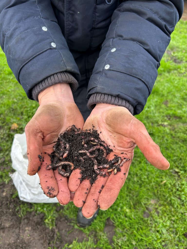 Vuile handen houden een hoopje aarde met regenwormen vast.