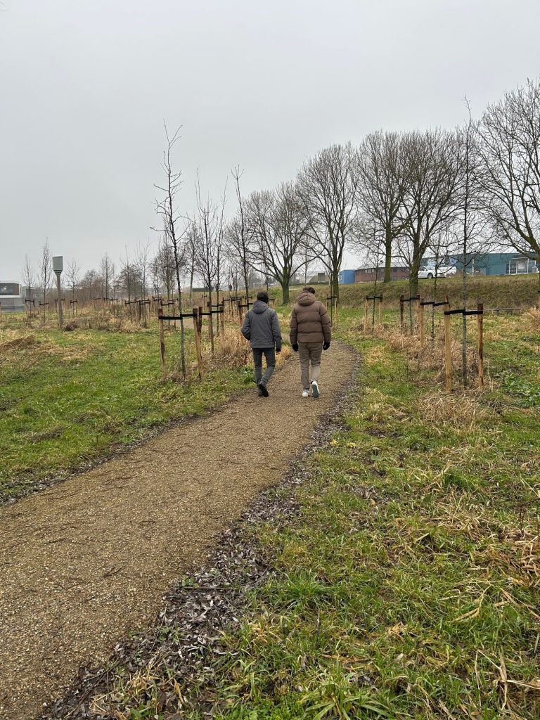 Wandelpad met 2 wandelaars in Park Coenecoop