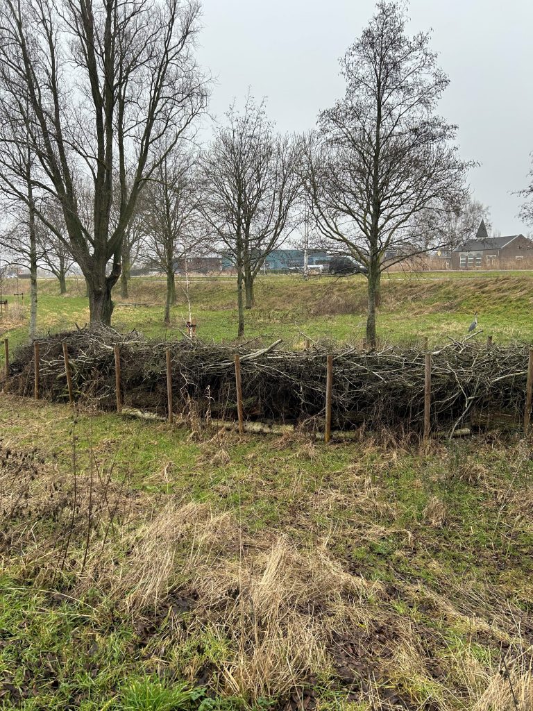 Takkenril, een natuurlijke schuil- en nestplek voor insecten, vogels en kleine dieren.