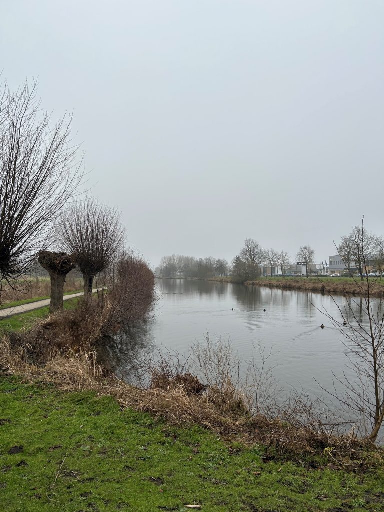 uitzicht met water en bomen in Park Coenecoop
