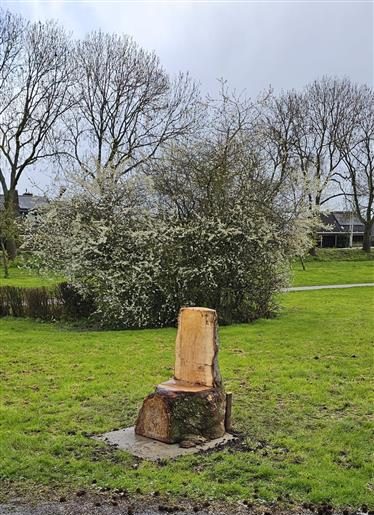 boomstam stoel in park