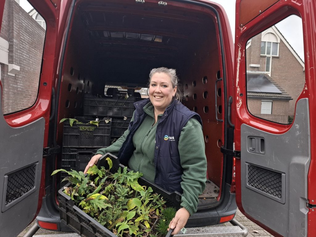 Een vrouw staat bij de laaddeur van een rode bus en heeft een krat met kleine planten voor de geveltuinen in haar handen.